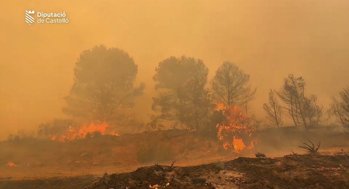 VOSTcvalenciana's tweet photo. 🔥#IFSoneja evoluciona negativamente. Se amplia el dispositivo de extinción con más medio terrestres y aéreos.
Mucho ánimo a todo el dispositivo de emergencias que trabaja en su control. https://t.co/yccZCq1aSE