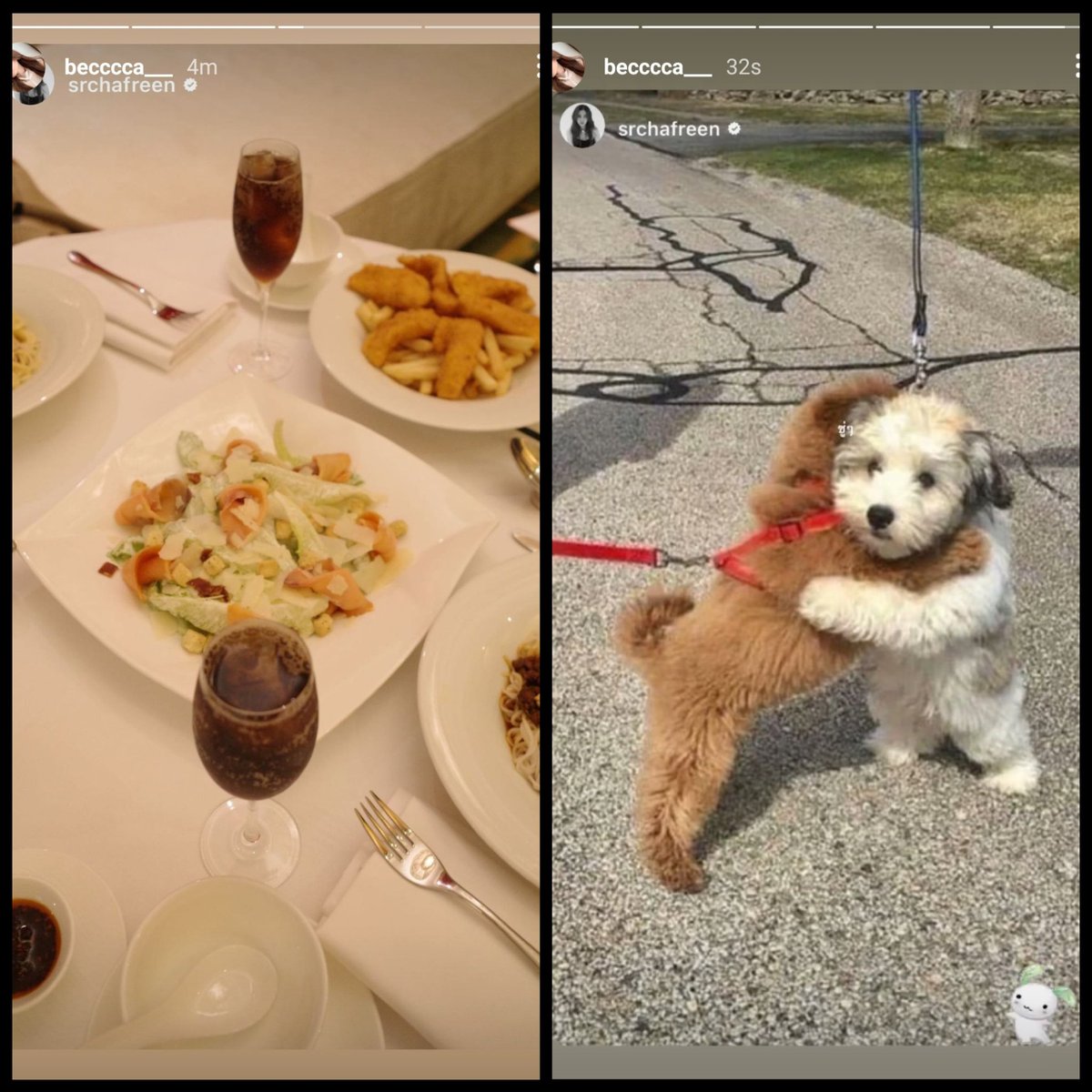BeanBeanNew's tweet photo. I wouldn't expect anything less from the queen of invisible tags. If Becky hadn't reposted some of these stories, we wouldn't even know they were about her. Well, maybe we'd know with the spaghetti bolognese one 😅

#FreenBecky #ฟรีนเบค https://t.co/GfZoeVWVtK