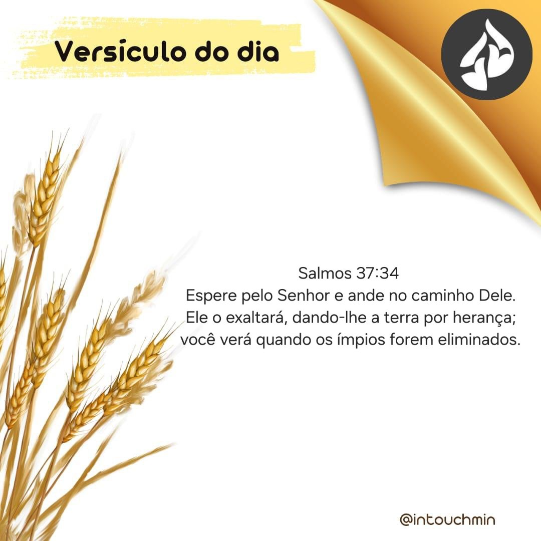 JPTVOFICIAL's tweet photo. Salmos 37:34 
Espere pelo Senhor e ande no caminho Dele. Ele o exaltará, dando‑lhe a terra por herança; você verá quando os ímpios forem eliminados.

@InTouchMin https://t.co/NLfCsmjFva