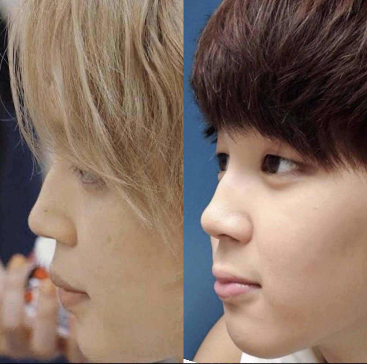 jamma_pjm's tweet photo. His beautiful nose before and now. I love his little dorsal hump..🥰 https://t.co/fiKH6bQyxL
