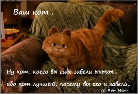 Pertrubatziya tweet picture
