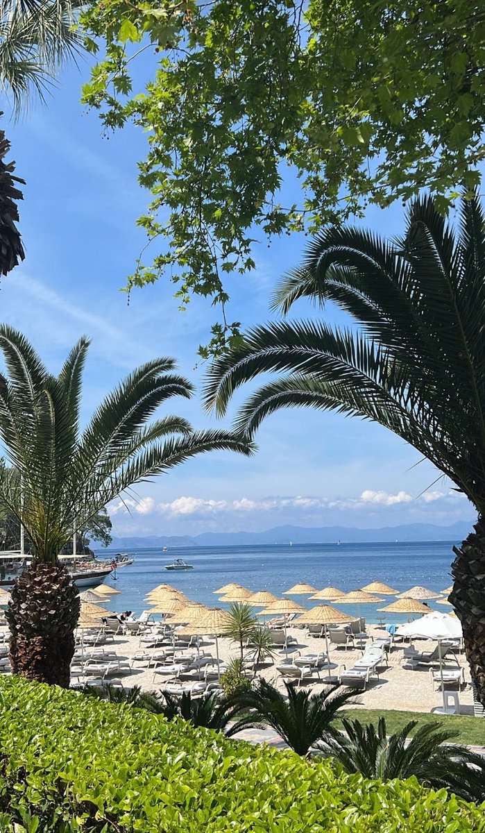 sinemayan's tweet photo. 🏝️ https://t.co/SCYNG1mE12