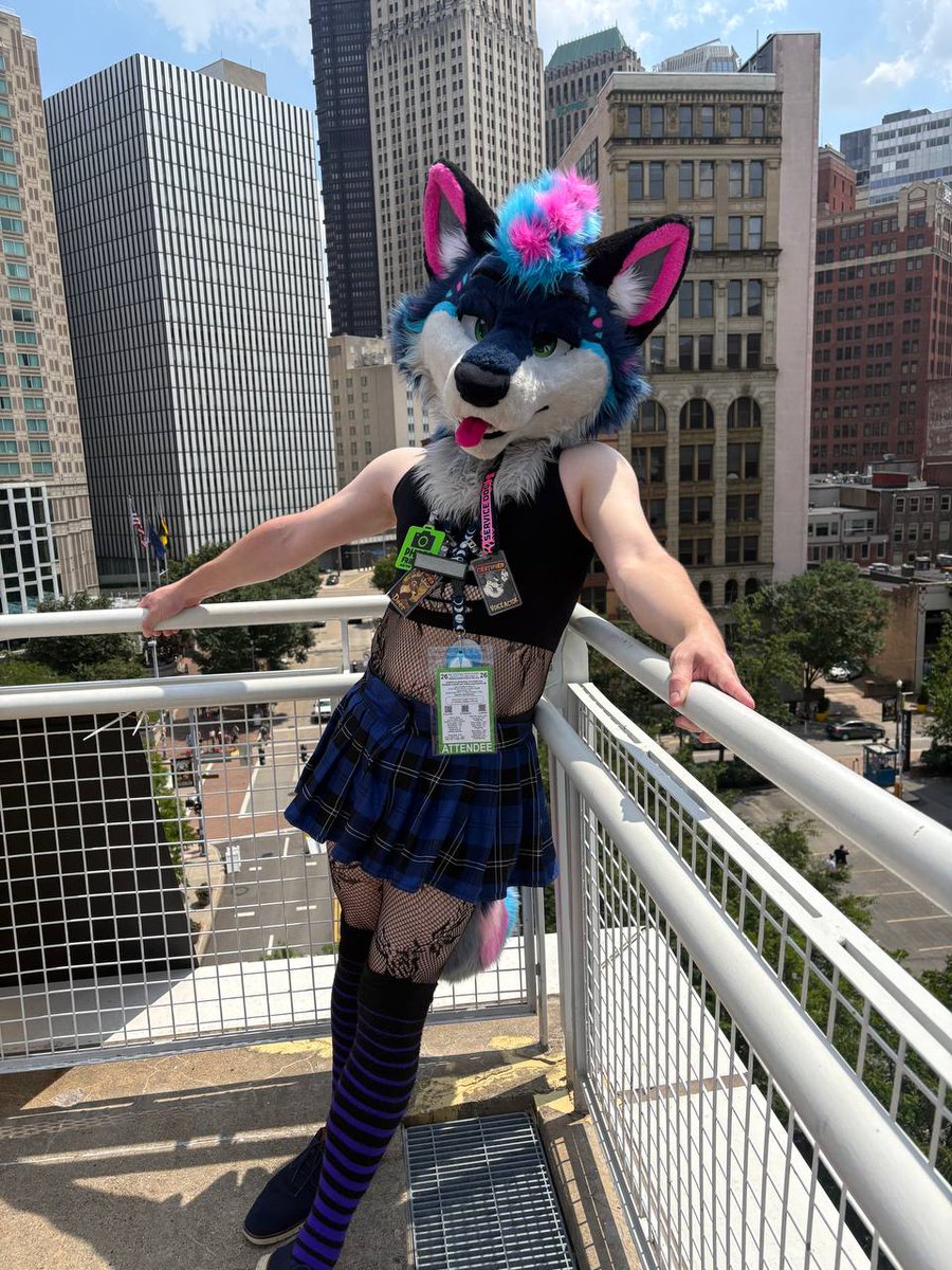 SpicyMoonAD's tweet photo. Soaking in the sun ! 

📷 @Salmon_pup https://t.co/Cg0KCLLhNZ