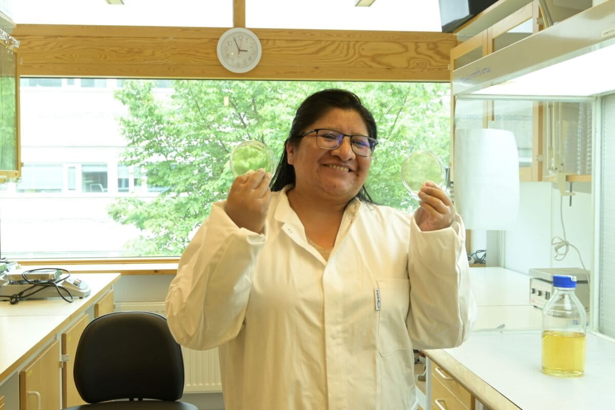 MongabayLatam's tweet photo. Seis mujeres indígenas de Ecuador, Bolivia, Perú, México y Colombia investigan biodiversidad, plantas medicinales, agricultura, educación científica y defensa territorial. Sus historias muestran cómo pueden unirse la ciencia y el conocimiento ancestral. https://t.co/NnTxLLwLoL https://t.co/GpCbKZ9rTC