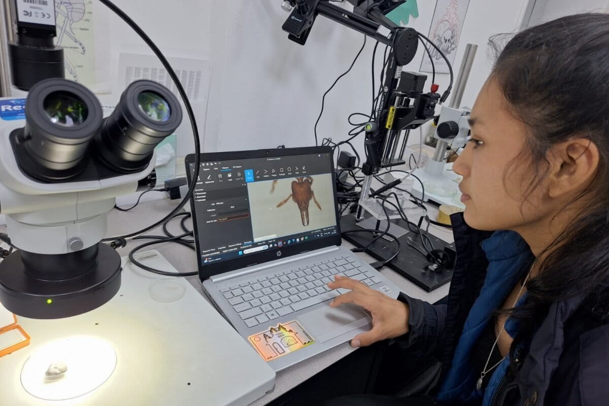 MongabayLatam's tweet photo. Seis mujeres indígenas de Ecuador, Bolivia, Perú, México y Colombia investigan biodiversidad, plantas medicinales, agricultura, educación científica y defensa territorial. Sus historias muestran cómo pueden unirse la ciencia y el conocimiento ancestral. https://t.co/NnTxLLwLoL https://t.co/GpCbKZ9rTC