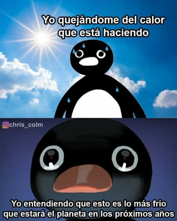 Isabellayf1's tweet photo. A muchos nos va a dar gracia este meme pero es la triste realidad, ayudemos al Medio Ambiente.
#ODM2026 #Meme #MedioAmbiente https://t.co/udQ92QwVIJ
