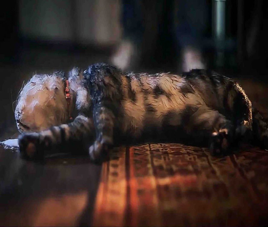 TheCineprism's tweet photo. • The film originally opened with Bear discovering his dead cat foaming at the mouth, but the scene was removed to give audiences a little breathing room before the horror escalated. https://t.co/0yb9FzcVSC