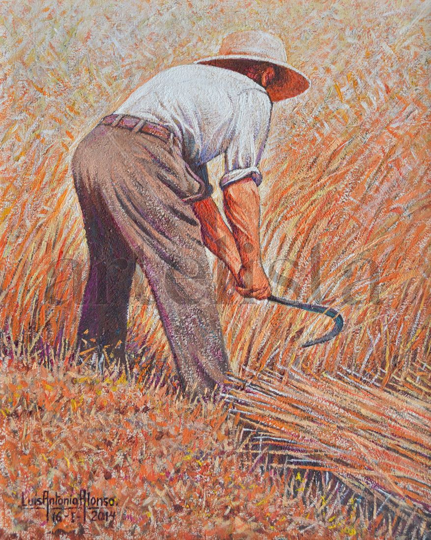 Josetefel's tweet photo. @hermanntertsch Nuestros padres y abuelos debieron de haber muerto incinerados en los campos y en las calles. Y en el campo segando con un sombrero de paja y un botijo en alguna sombra. Recuerdo veranos de niño con un calor infernal. Es criminal lo que hacen con el presunto calentamiento. https://t.co/lZjyO30FgG