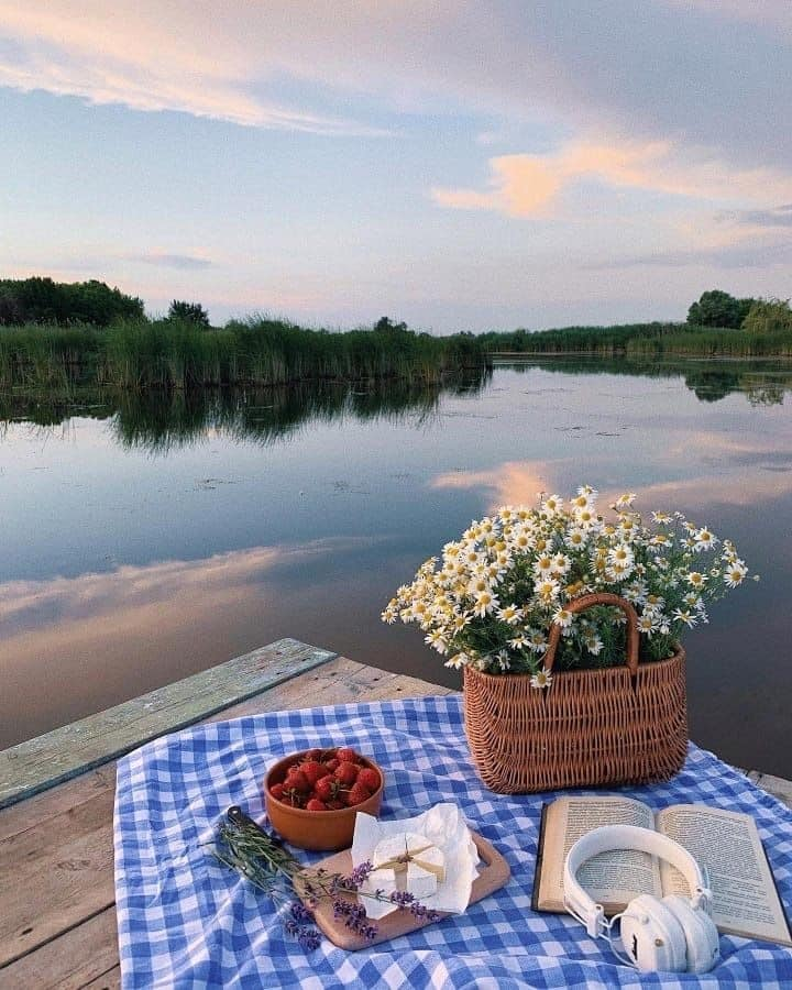 aestheticspost_'s tweet photo. https://t.co/bfFZ6bxNi4