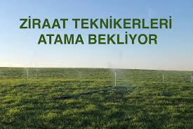 ziraattek's tweet photo. @ibrahimyumakli @RTErdogan Sayın bakanım 2020-2022-2024 Kpss puanlarıyla Tarım Bakanlığı'na ziraat teknikeri alınmadı, puanlar boşa gitti. DSİ, TÜRKŞEKER, TMO, TİGEM gibi KİT'lerde teknikerlere daha çok şans verilmeli! Artık sesimize kulak verilmeli
@Seyfullahaslntk 

#ZiraatTeknikerleri750AtamaBekliyor https://t.co/On10PjNzWN