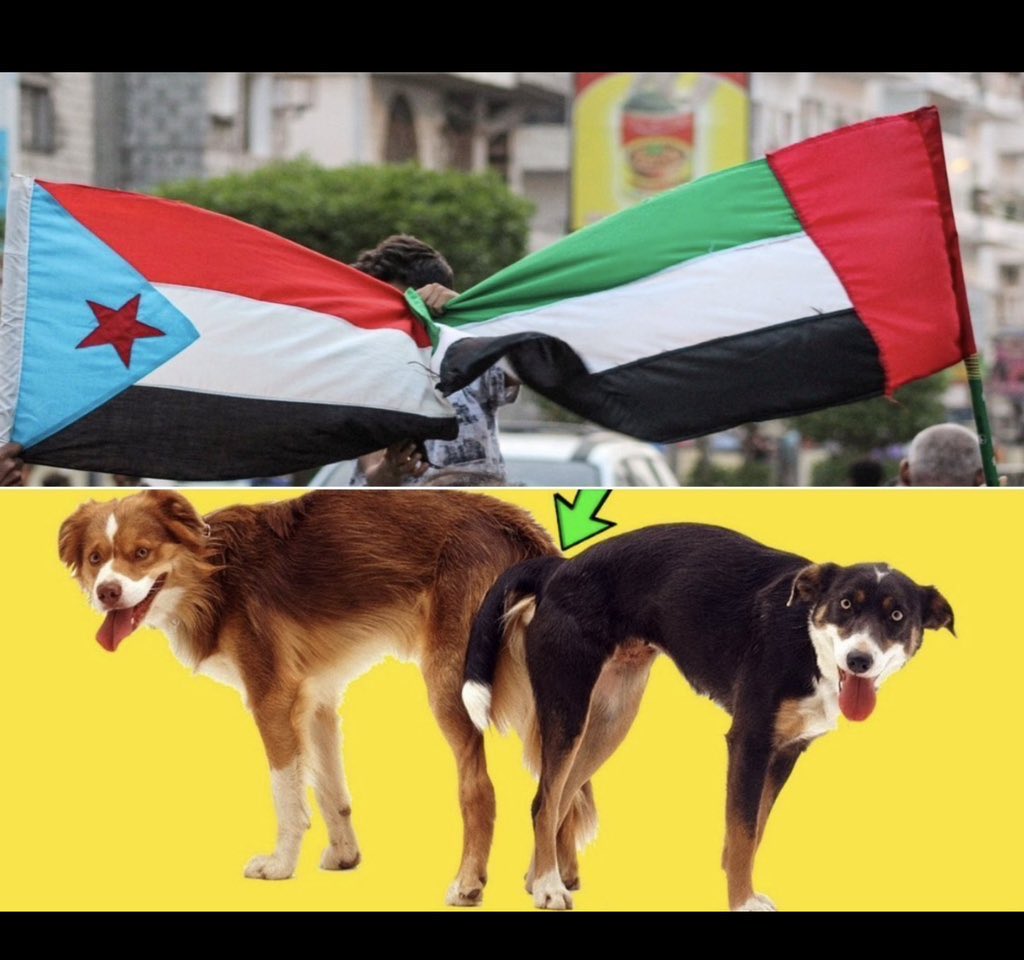 asgh3313's tweet photo. @SyfAsyl1759 انا من يوم شفت العلم الي خلفك عرفت انك ذيل من ذيول اليهود شوف يارمه تتكلم علي سيدك معصي والف معصي الرمم مكانها الشوارع وبين الزبايل والجزم في وجيهه لو فيك ذرة رجاله ماقلت زي هذا الكلام ياواطي العمه للعملاء واولاد المتعه ياحمار القايله تبي انفصل تحلم انت وعيدروسك الي مات https://t.co/DOCIUjwxwK