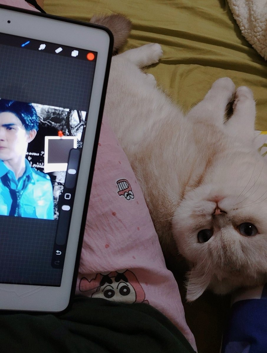 2jy970604's tweet photo. @bxxm_rvw 去不了૮₍ɵ̷﹏ɵ̷̥̥᷅₎ა猫咪陪我一起在家为pboom干活♥@bxxm_rvw https://t.co/DjrCEcw6NM