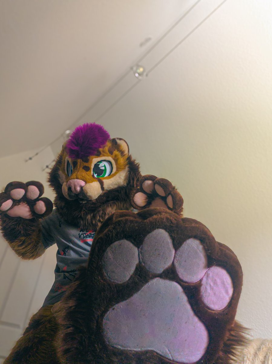 Connection14_'s tweet photo. STOMP~ https://t.co/GM9YO2JMVn