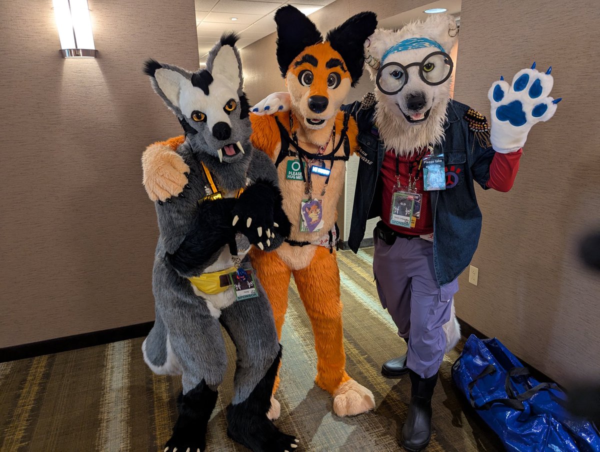 Togo Wolf tweet media