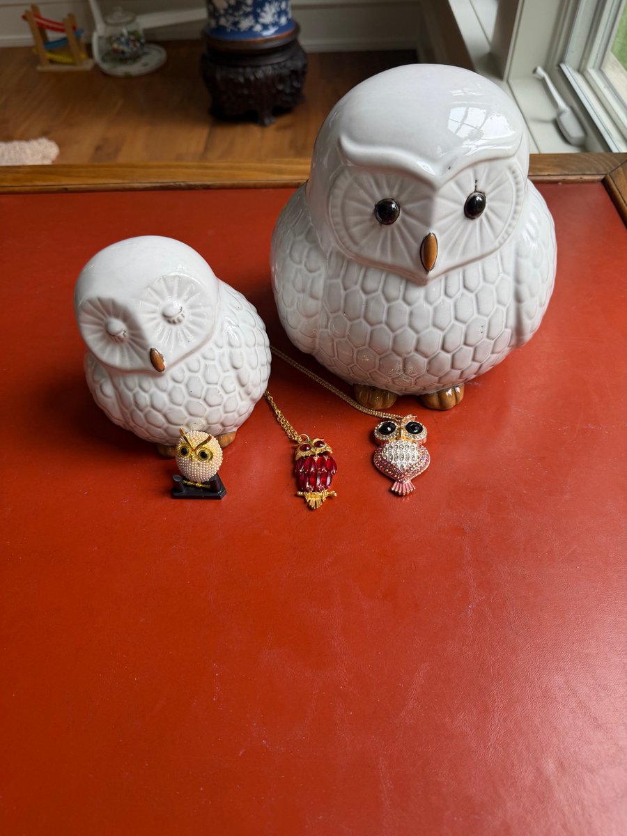 storchyowl's tweet photo. Gotta love the Owls!!  Go owls!!   #WAWAW  @swfc https://t.co/tE1BycIDVi