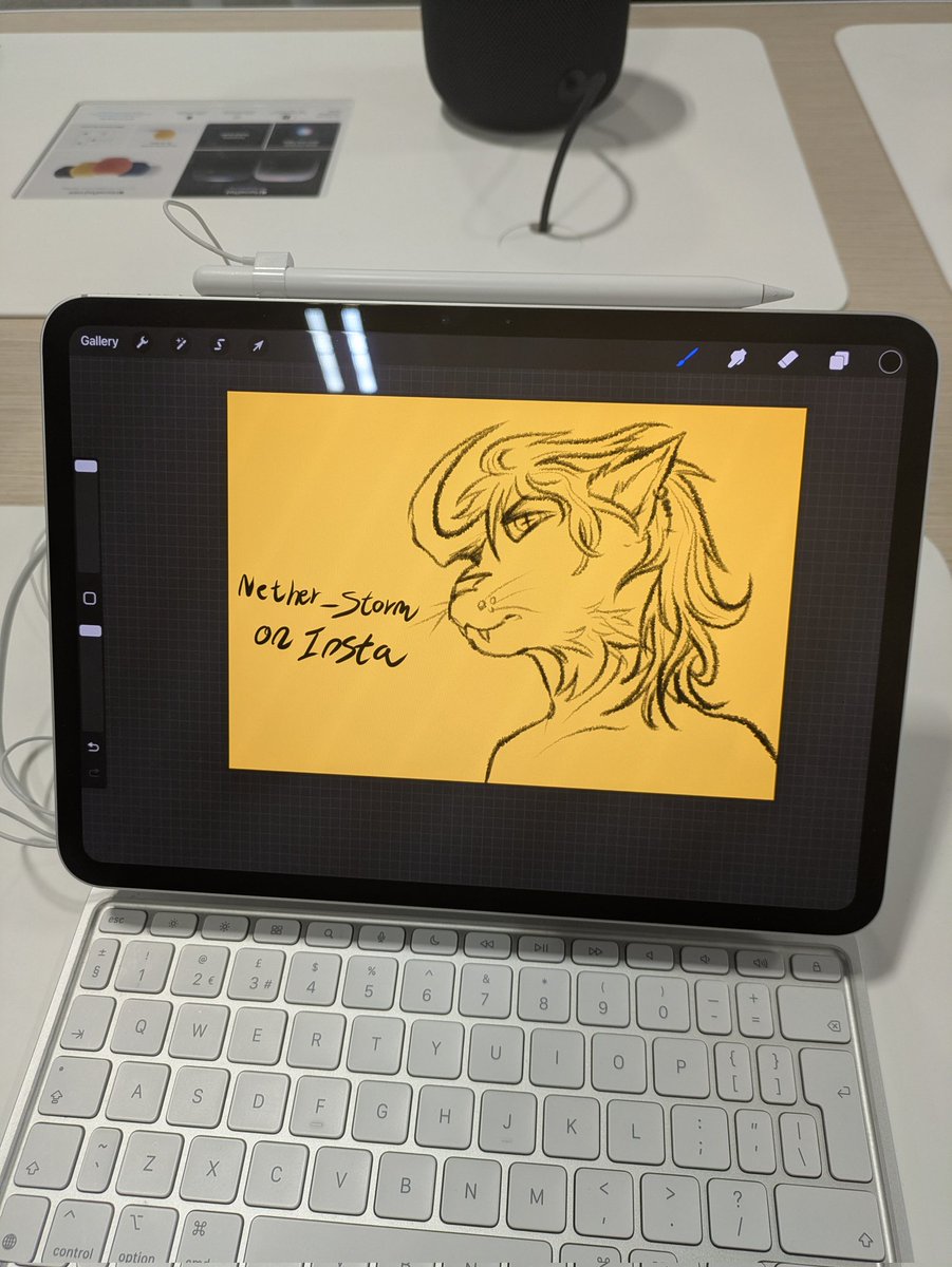 nether_storm06's tweet photo. I love drawing on Curry's shops/apple shops iPads :3

#furryart #fursonaart #furry #furryfandom #digitalart #procreateart https://t.co/lPupWoYhIO