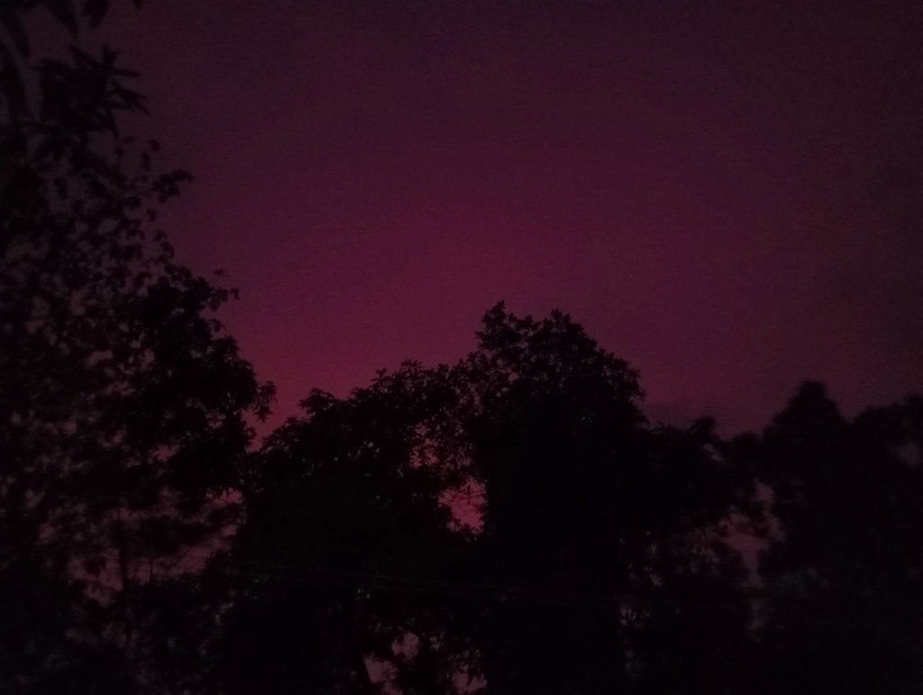 elysiaeine's tweet photo. Loved the colour! https://t.co/GVlQwDsBiZ