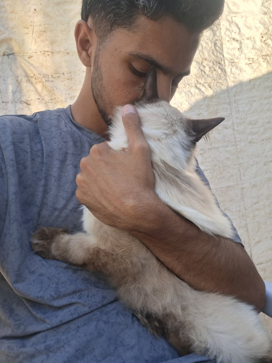 MustafaAmeen30's tweet photo. Throughout my illness, one thing puzzled me...

Instead of my mind being preoccupied with myself, it was preoccupied with Misho. Every day, I would tell my mother and brother: Don't forget his food, feed him on time, and take care of him.

I kept asking myself: Why do I think about him more than my own pain?

Then I understood why... In my most difficult moments, Misho would come and sit in my lap, as if his mere presence could ease a pain that words couldn't.

I never imagined that a little kitten would become such a part of my heart.

I love Misho very much, and I pray to God to heal me and keep us together. 🤍🐈