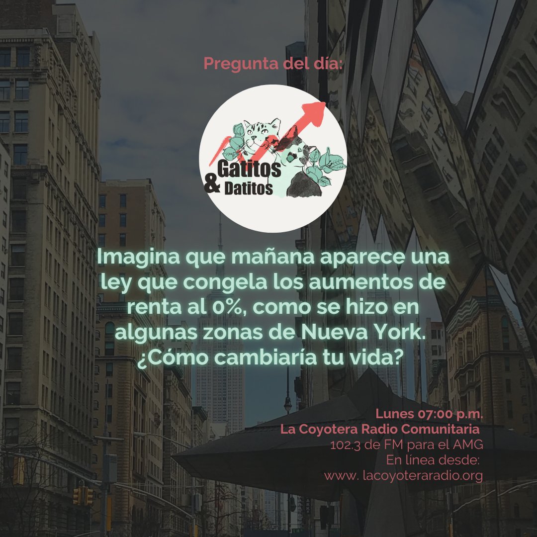 DeaFlourishment's tweet photo. ¿Te imaginas despertar y saber que tu renta no va a subir ni un solo peso? 💸📉

En algunas zonas de Nueva York ya se hizo. Si mañana se aprobara una ley que congela los aumentos de renta al 0% aquí... ¿Cómo cambiaría tu vida? https://t.co/r9qNfDJh50