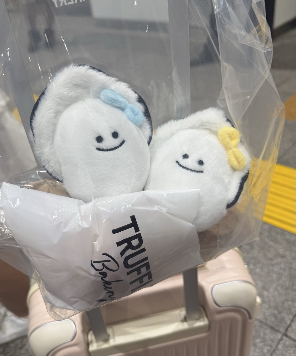 maoma0_13's tweet photo. 昨日さなちゃんから急にこれかわいいってらいんきておそろする！？ってなって買ってきてくれた🦪( '-' 🦪 )ｶｷﾁｬﾝ
パン買ってさっそく推し活した。みんなもこんな気持ちでチェキツイしてくれてるの？🥹ほんとーーにかわいすぎる💚
さなまおはこーゆうぬいぐるみに目がない https://t.co/xDjFKV5zCS
