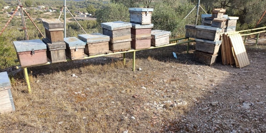 mossos's tweet photo. 🐝 Denunciem un home per l'apropiació indeguda d'un centenar de ruscs d’abelles sostrets el 2020 a Olivella i Sant Martí Sarroca.

Els recuperem a Torrelles de Foix i els retornem al seu propietari, tenien un valor aproximat de 20.000 €. 

Actuació conjunta amb @agentsruralscat. https://t.co/qYzArp8FU4