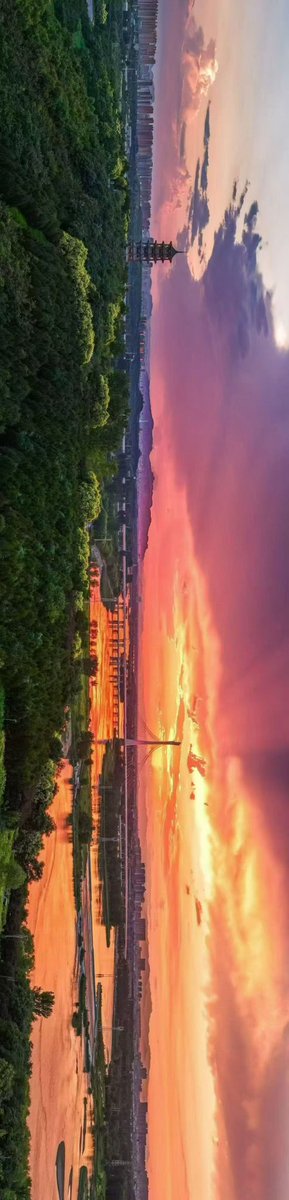 jingjingpro's tweet photo. https://t.co/U7M7c3P6HN