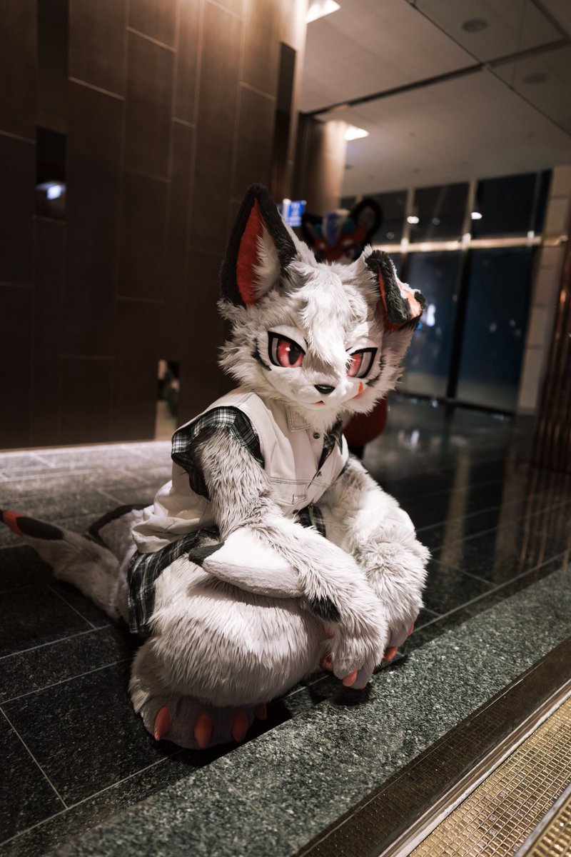 Anya_oOkami's tweet photo. 後ろに紅龍がいるってどういうこと？

📷：@ARlant_C 

#FursuitEveryday 
#ケモノをみて今週もがんばりマンデー https://t.co/2r47luB3j6