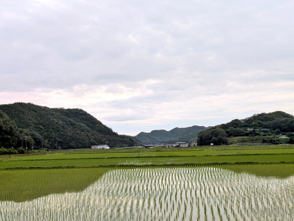 絵に描いたような田園風景。 夏がやって来ますね。