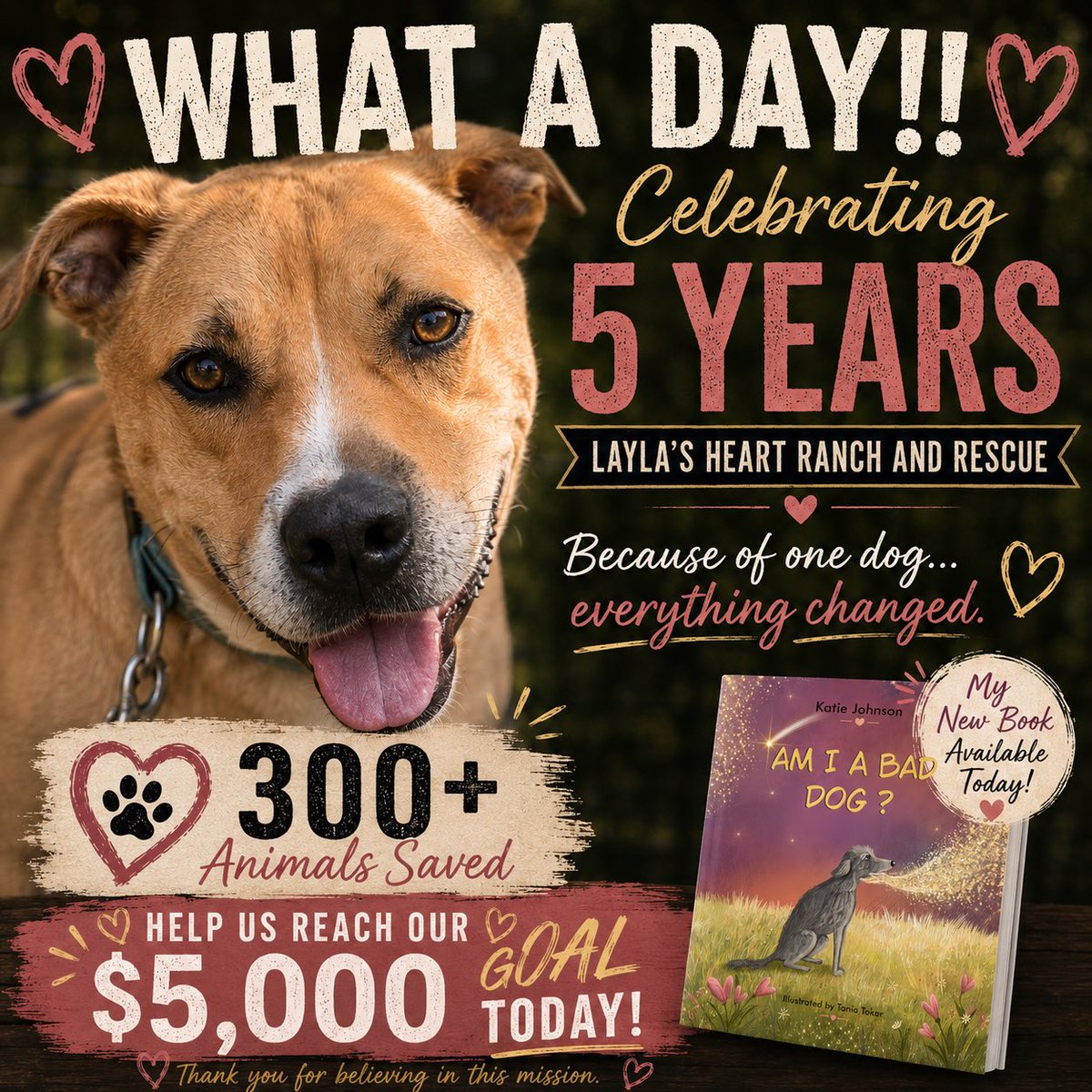 LaylasheartOR's tweet photo. ❤️ WHAT A DAY!! ❤️

Today is one of the biggest days in the history of Layla’s Heart Ranch and Rescue.

Today marks five years since we officially became a 501(c)(3)… and today my second children’s book, Am I A Bad Dog?, is officially released!

As we celebrate these incredible milestones, we’re also hoping to raise $5,000 TODAY to help care for the animals who depend on us.

Five years ago today, none of this existed.

It all started because of one dog…

Kringle.

On my very first day volunteering at a shelter, I met a dog very few people were willing to work with. I was terrified he wouldn’t make it out alive. I called rescue after rescue across the country, desperately trying to find someone who would give him a chance.

Every single one said no.

So I made a decision that changed my life forever.

If no one else was going to save Kringle… I would.

I started Layla’s Heart Ranch and Rescue to save one dog.

Five years later, because of that one “yes,” we’ve rescued more than 300 animals—dogs, cats, horses, pigs, ducks, and chickens. We’ve rescued dogs from fighting rings, taken in severe medical and behavioral cases, built a sanctuary from raw land, and fought for animals that had nowhere else to go.

Today, our goal is to raise $5,000 so we can continue saying “yes” to the next animal who needs us.

If you’ve ever wanted to help, today is the day.

Donate: https://t.co/UahIUXeu6H

GoFundMe: https://t.co/Fc4gKk8rdI

Amazon Book link: https://t.co/d4zMeHa77M

To celebrate with us: My new book, Am I A Bad Dog?, is available now! You can:
• Order a signed copy directly from me for $40 by sending payment through Venmo: @KatieJohnsonCreative or PayPal: Katie Johnson Creative. Please include your name, shipping address, and the book title with your payment.
• Or order through Amazon. If you purchase through Amazon, I’d be so grateful if you’d leave a review—it truly helps new authors.

A portion of every book sold helps support Layla’s Heart Ranch and Rescue, so every purchase helps the animals, too.

If you can’t donate, please share this post. Every share helps us reach someone new, and that means more than you know.

From the bottom of my heart, thank you for believing in this mission, for believing in Kringle, and for standing beside us for the last five years.

Here’s to the next chapter… pun absolutely intended. 🤣❤️

#laylasheartranchandrescue #amiabaddog #dogrescue #animalwelfare #childrensbookauthor