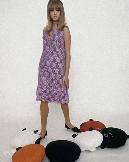 jaehaeryshater's tweet photo. pattie boyd ATTACKED by cats, 1964 https://t.co/4Dl7A5CKZ6