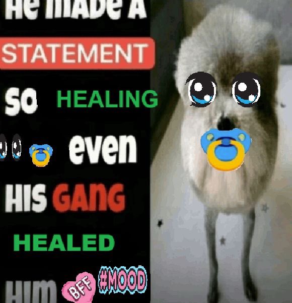 yogurttpaws's tweet photo. didn’t gain yesterday because i kept shoving my fingers in my mouth and making myself throw up while i was drunk i guess ￼ https://t.co/6j6C6jQOJp