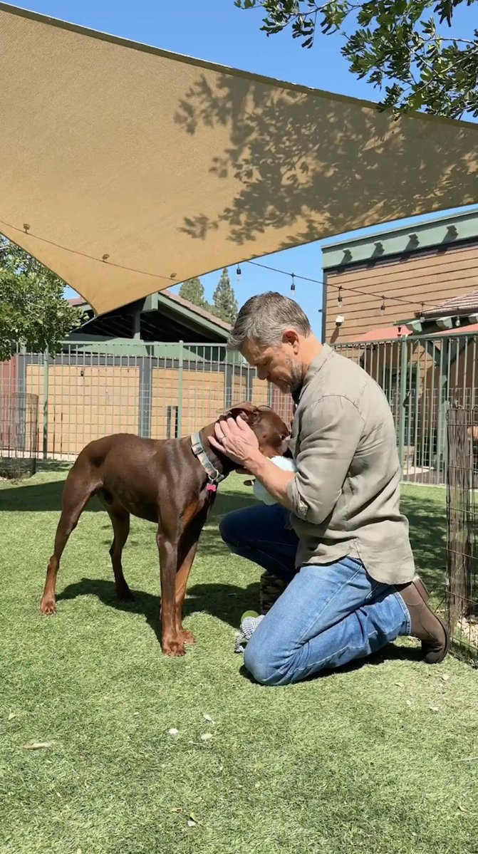 damonlibrary's tweet photo. Matt Damon at Eastwood Ranch. 🐕 https://t.co/DQMnsFZJ1W
