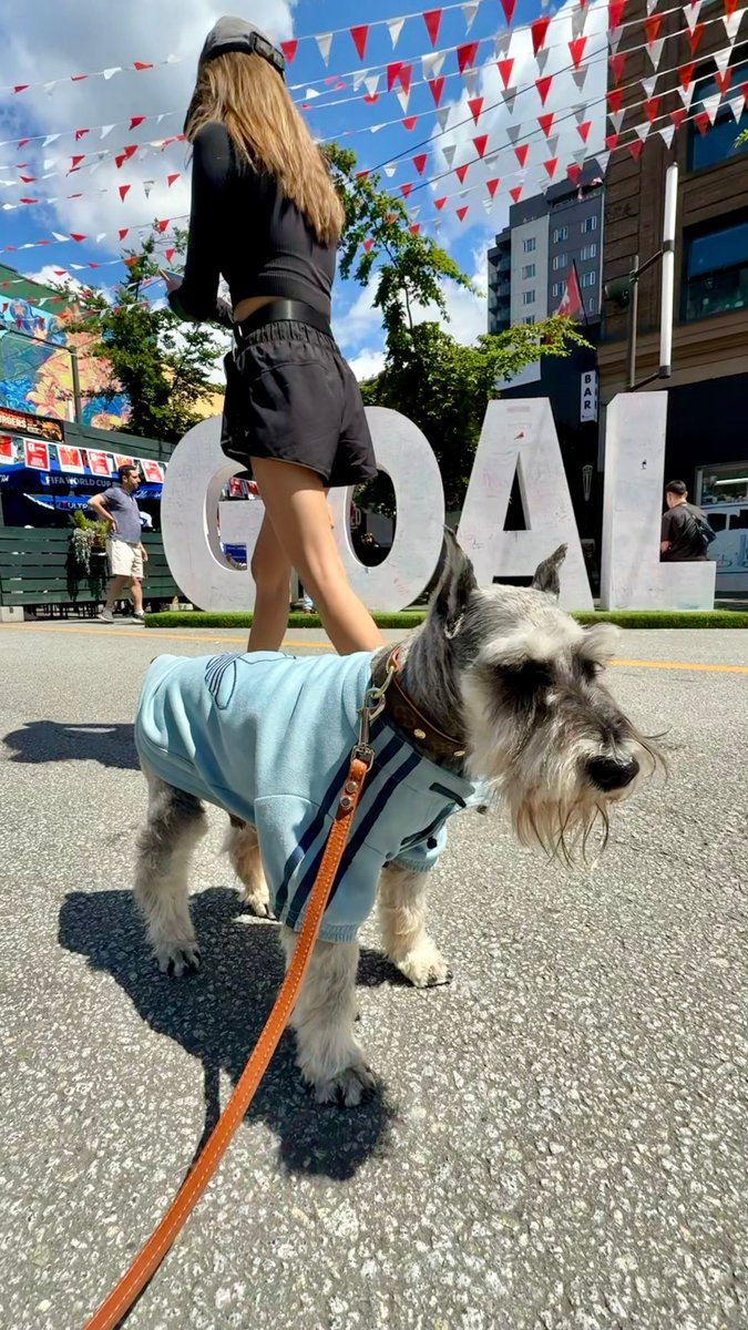 muffinjai's tweet photo. ⚽️ Being an international supermodel is frankly exhausting, though—you wouldn’t believe the chaos of dodging thousands of tourists just to capture that one perfect shot where I look sufficiently heroic.
#WorldCup2026 #TeamCanada #GranvilleStreet #SchnauzerModel #GoCanadaGo https://t.co/p7YmKdfbdP