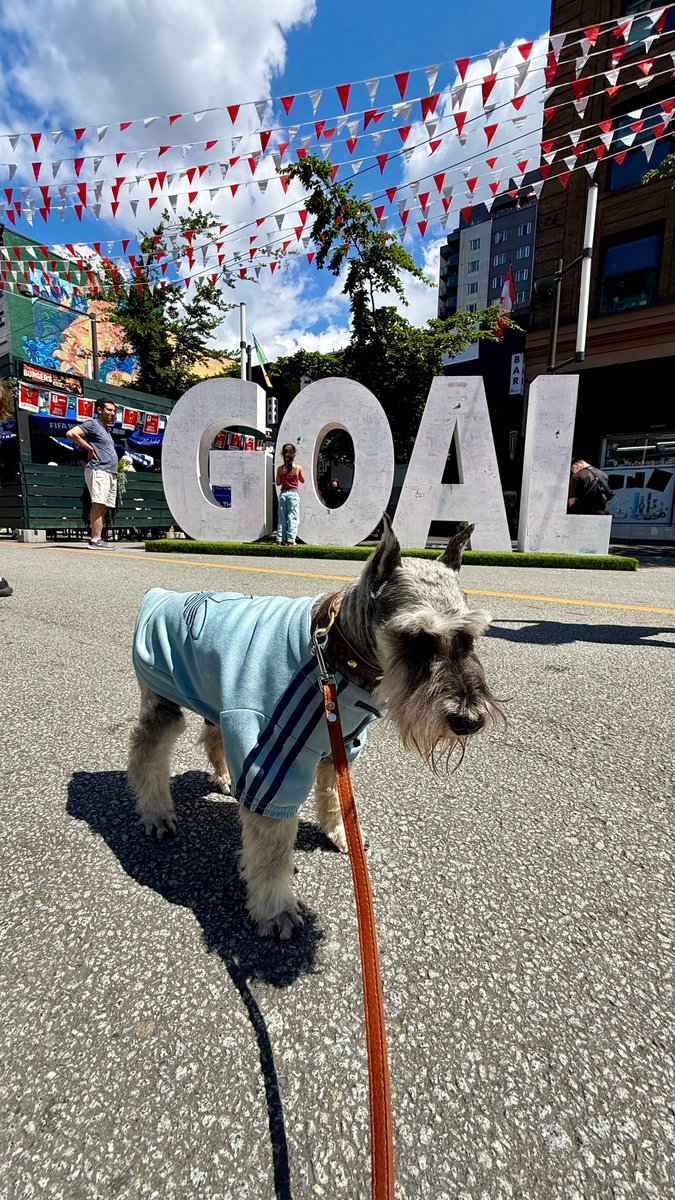 muffinjai's tweet photo. ⚽️ Being an international supermodel is frankly exhausting, though—you wouldn’t believe the chaos of dodging thousands of tourists just to capture that one perfect shot where I look sufficiently heroic.
#WorldCup2026 #TeamCanada #GranvilleStreet #SchnauzerModel #GoCanadaGo https://t.co/p7YmKdfbdP
