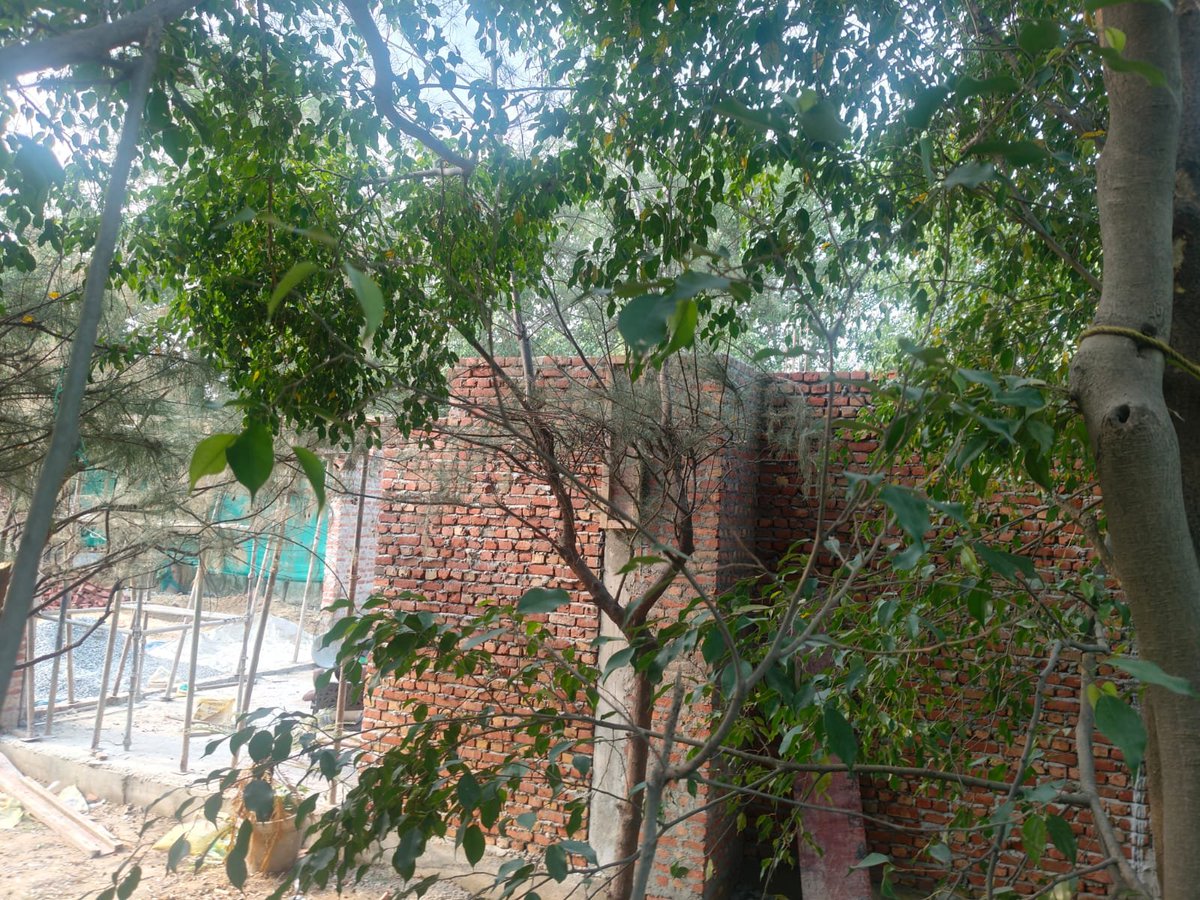 Paramjit_Jha's tweet photo. #दिल्लीहाईकोर्ट के आदेशों की सरेआम धज्जियां उड़ाकर #सैनिकफार्म में दिनदहाड़े #अवैधनिर्माण चल रहा है। माननीय कोर्ट द्वारा इस संवेदनशील कॉलोनी में किसी भी प्रकार के निर्माण पर पूर्ण प्रतिबंध है, फिर भी यहाँ कानून का खुलेआम मज़ाक उड़ाया जा रहा है।

​यह अवैध निर्माण W-8/14, वेस्टर्न एवेन्यू, #सैनिक_फार्म, नई दिल्ली में बेखौफ होकर किया जा रहा है। सबसे चौंकाने वाली बात यह है कि यह सब #MCD_SouthZone के अधिकारियों (JE/AE) और स्थानीय #पुलिस_बीट अधिकारी की सीधी मिलीभगत और संरक्षण में हो रहा है।

​क्षेत्रीय #JE और #पुलिस को इस बाबत कई बार शिकायतें दी गईं, लेकिन इस भ्रष्ट तंत्र के कान पर जूं तक नहीं रेंग रही। अवैध इमारत बना रहे #बिल्डर के हौसले इतने बुलंद हैं कि वह खुलेआम कहता है कि "मैं #MCD और #पुलिस वालों के मुंह पर पैसा मारता हूँ, मेरा कोई कुछ नहीं बिगाड़ सकता।"

@LtGovDelhi महोदय और प्रशासन ने बड़े-बड़े दावे किए थे कि #अवैधनिर्माण होने पर संबंधित अधिकारियों पर सख्त कार्रवाई होगी और उन्हें जेल भेजा जाएगा।लेकिन जब बिल्डर, MCD अधिकारी और पुलिस बीट अफसर मिलकर #हाईकोर्ट के आदेशों को जूतों तले रौंद रहे हैं, तो ऐसा लगता है कि यह नियम सिर्फ कागजों तक सीमित है।

​यह सिर्फ एक निर्माण का मामला नहीं, बल्कि हमारी #न्यायपालिका की सीधी अवमानना है। महोदय, कृपया तुरंत संज्ञान लें। इस निर्माण कार्य को तुरंत सील किया जाए और भ्रष्टाचार में लिप्त #बिल्डर, #MCD के JE/AE और संबंधित #पुलिस_बीट अधिकारी को तुरंत निलंबित कर उनके खिलाफ सख्त से सख्त कानूनी कार्रवाई की जाए।

@CMODelhi @MCD_Delhi @DCSOUTHZONE @DMSouthDelhi @DCPSouthDelhi @ps_NebSarai @official_dda @gupta_rekha @praveshwahi @ViharAcp