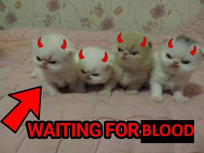 ashyaywoohoo's tweet photo. https://t.co/H3hEnBhJvR