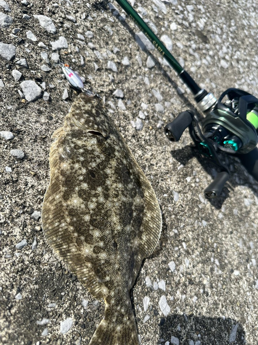 pApAtKy119's tweet photo. ワンタックルでアジ〜シーバスぐらいまでを狙って楽しむのに今のIRCTとサビアが自分のスタイルではベストマッチ！
サビアエボルシオンでキャストしたらめっちゃ抜けがよくて気持ち良く飛ぶのにびっくり((((；ﾟДﾟ))))
これからどんな魚と戯れられるか楽しみ🤭 https://t.co/8KEDcUecPH