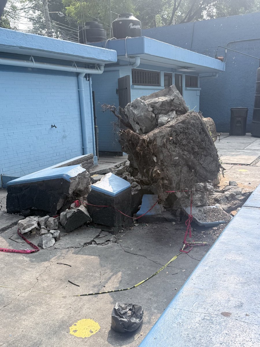 Doti2376's tweet photo. Árbol se cayó dentro del Deportivo Espartaco en a hace varios días y aún sigue los restos ahí @Alcaldia_Coy  @locatel_mx @ClaraBrugadaM https://t.co/KDLwB00zva