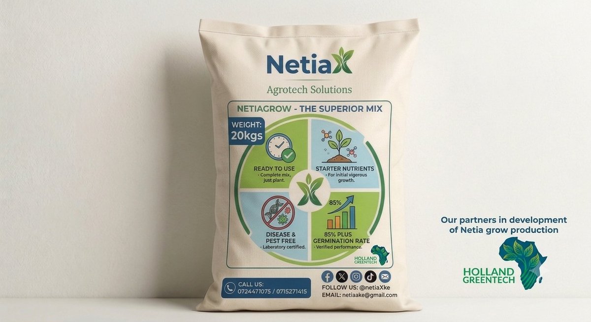 kalebndolo's tweet photo. Under our partnership with @HGTKenya we are delivering a ready to use disease and disease free propagation media with starter nutrients.

This gives #power back to farmers to raise their seeds with a guarantee of  85% plus germination rate.

0725000250 @netiaX_ke https://t.co/ihSFBUMRLH