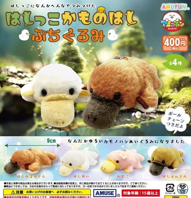 gachaxpompom's tweet photo. 『はしっこかものはし ぷちぐるみ』発売。
なんだかゆるいカモノハシぬいぐるみになりました 
https://t.co/0MG9vz9Vwa https://t.co/b5yo4McDUB