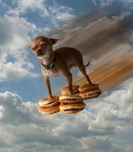 twaniimals's tweet photo. https://t.co/S4NGXxSWlI