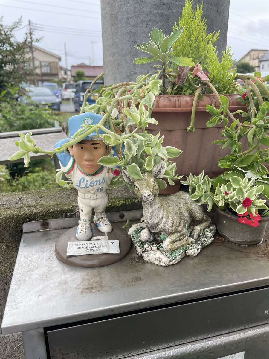 ko_c_c's tweet photo. 松坂。。。 https://t.co/wV3ZUpobg7