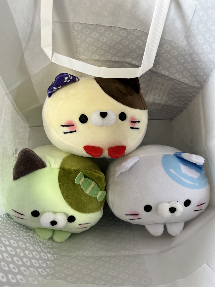 まいぽん☆ (@kantaknonta) / Posts / X