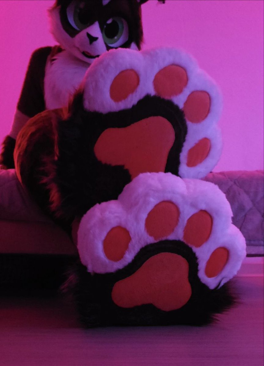 kodda_a's tweet photo. Paws at you 🐾 https://t.co/XOG1Hx1d5N