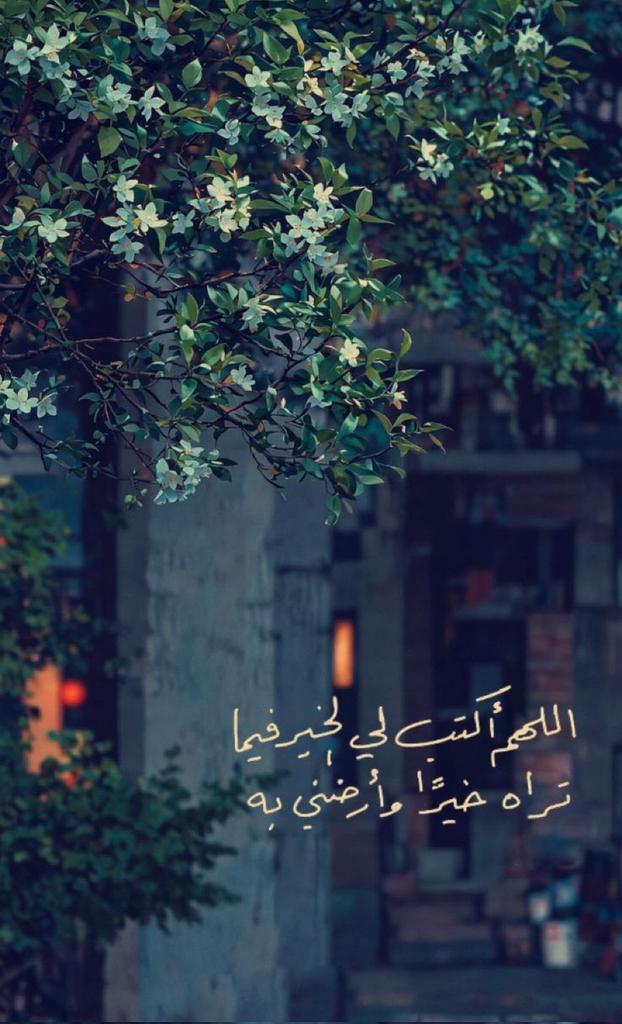 motm2na_'s tweet photo. يا الله💛.. https://t.co/GyJ9QJUWBp