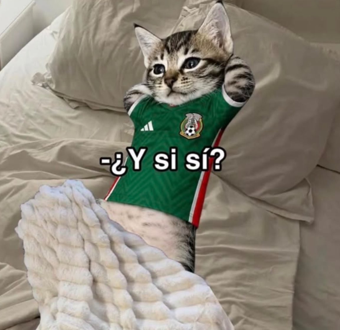 ay__equis's tweet photo. Nadie
Yo desde las 6 am: https://t.co/2dVXnGo2cp