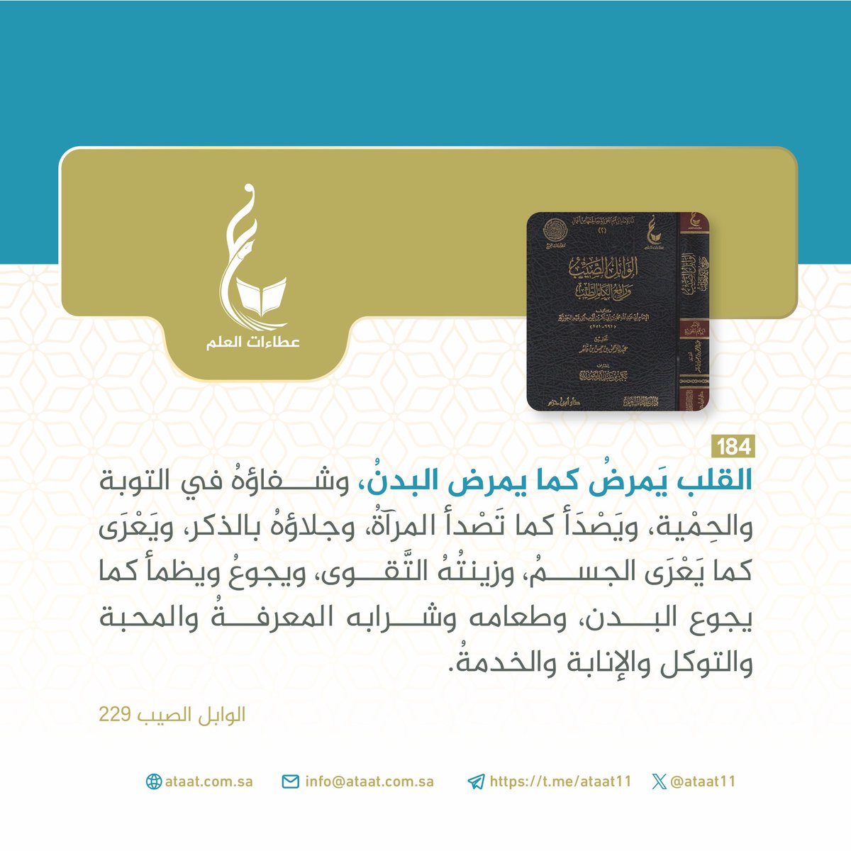 ataat11's tweet photo. https://t.co/tfudlzMwAM