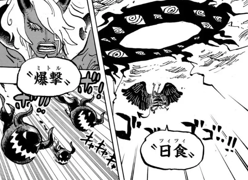 Log【ワンピース考察】 on X: 