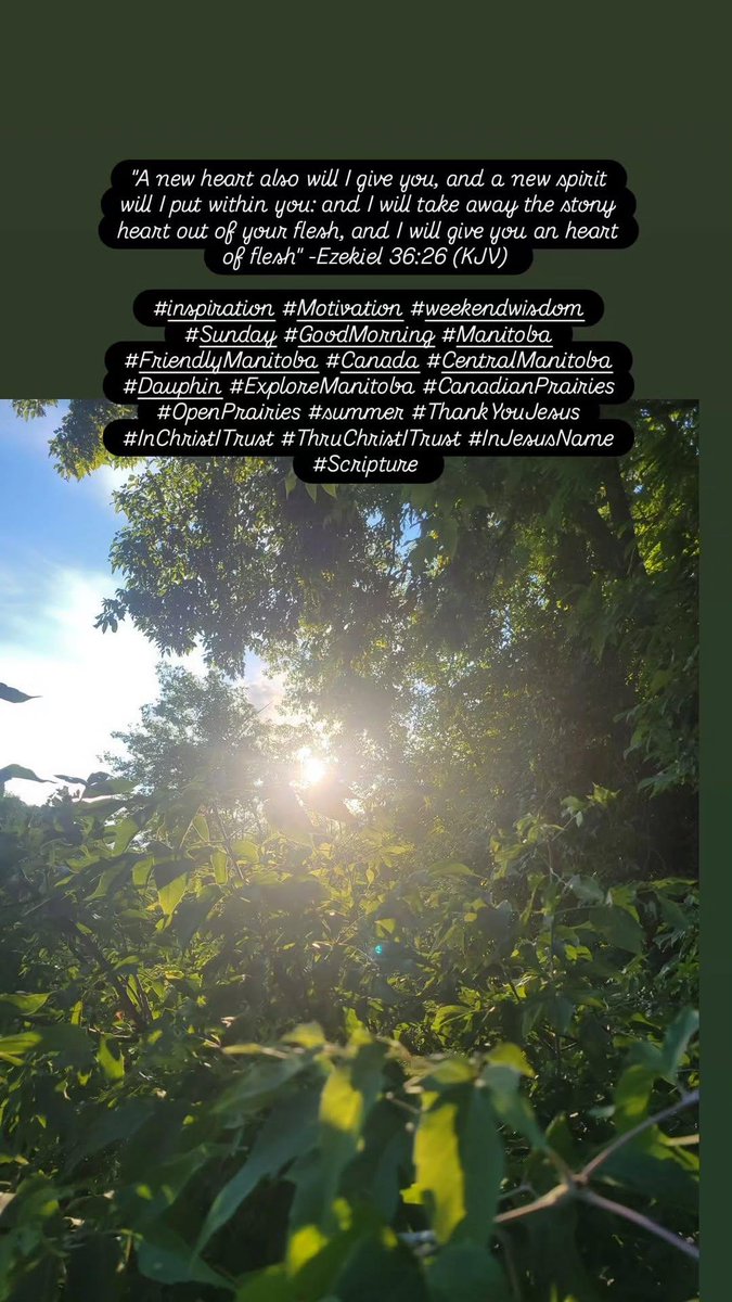 edwinpierrot13's tweet photo. #inspiration #Motivation #weekendwisdom #Sunday #GoodMorning #Manitoba #FriendlyManitoba #Canada #CentralManitoba #Dauphin #ExploreManitoba #CanadianPrairies #OpenPrairies #summer #ThankYouJesus #InChristITrust #ThruChristITrust #InJesusName #Scripture https://t.co/dXRN3SsDjt