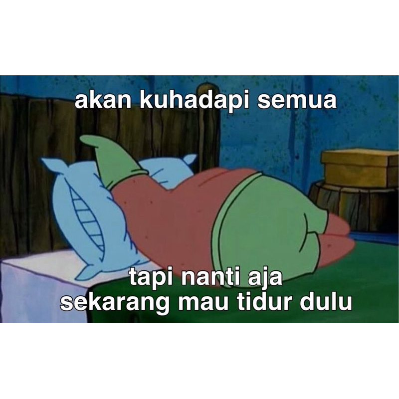 bara tweet media